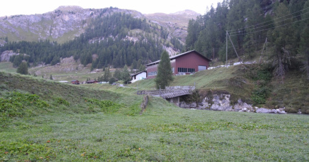 Spara al cervo... ma era un cavallo