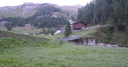 Spara al cervo... ma era un cavallo