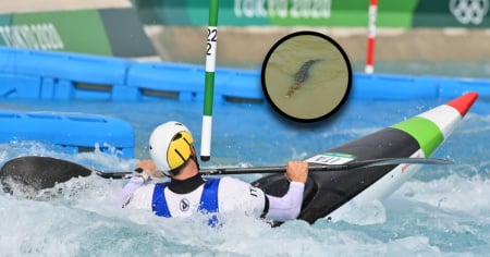 Olimpiadi 2032, via libera alle gare nel fiume dei coccodrilli