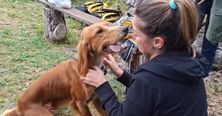 Coco è stato ritrovato: il video
