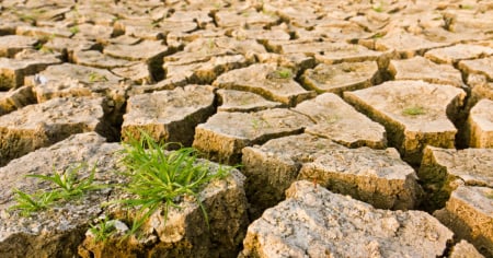 "Emergenza Terra" racconta la grande trasformazione