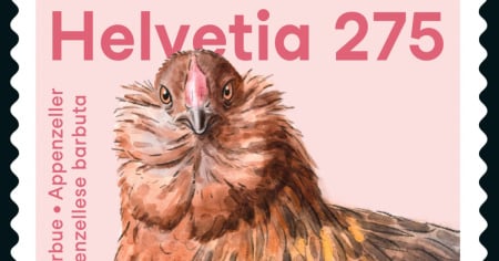 La gallina barbuta fa capolino sui francobolli