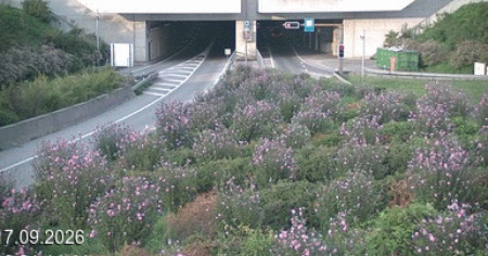 A13 a Tenero, moto a terra: chiusa la galleria Mappo-Morettina
