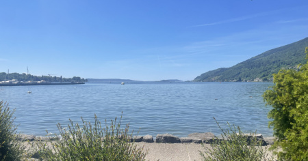 La palla finisce nel lago, lui va a recuperarla e muore