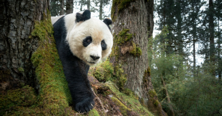 La World Press Photo Exhibition fa ritorno a SpazioReale