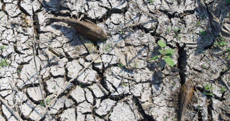 El Niño sarà diverso dai precedenti