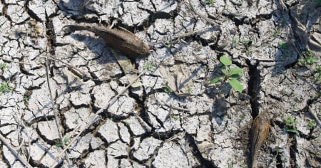El Niño sarà diverso dai precedenti