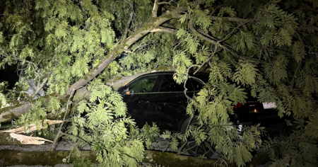 Notte di maltempo tra alberi caduti e imbarcazioni rovesciate