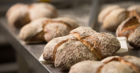 Pane ticinese, l'esame 2026 premia qualità e tradizione