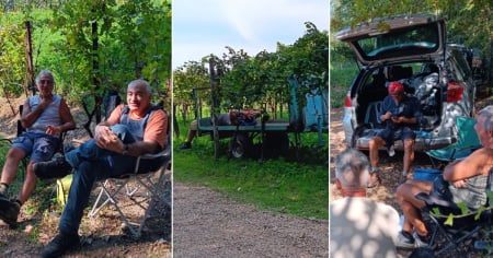 «Pensionati o disoccupati»: i frontalieri della vendemmia a 15 franchi l'ora