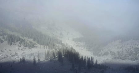 Le Alpi si stanno sgretolando? In alcune zone, sì