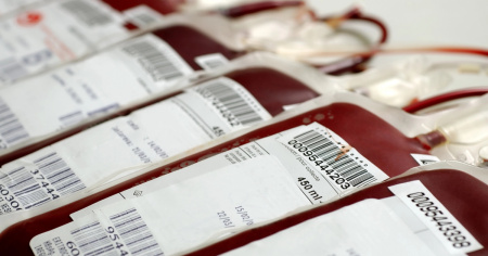 I Testimoni di Geova aprono alle trasfusioni di sangue