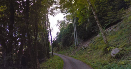 Passeggiano nel bosco e trovano una donna impiccata