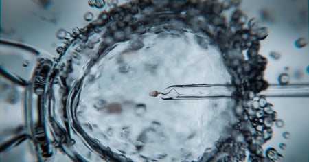 Fecondazione in vitro non rimborsabile: «È un'ingiustizia»