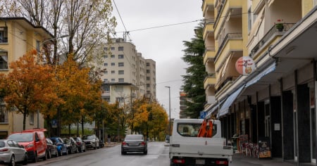 «Il nostro tranquillo quartiere è terrorizzato da un folle vegano»