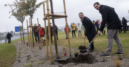 Un albero per ogni bambino: la tradizione momò continua