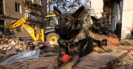 Mosca ignora Trump: Kiev al buio, accuse su Starlink