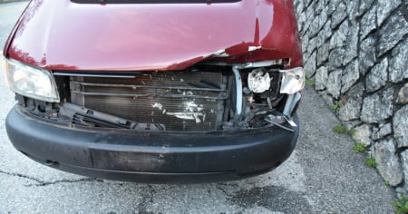 Cervo morto dopo l'impatto col furgone