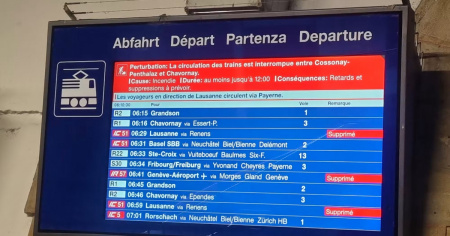 Rogo in una canalina per cavi: traffico ferroviario in tilt