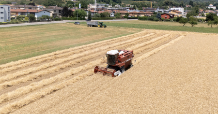 Apprendisti agricoli fino a 51,5 ore: il PC chiede chiarimenti al Governo