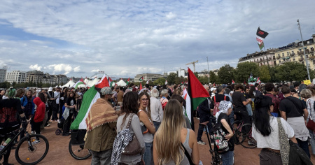 In piazza per la Palestina: proteste, tensioni e atti vandalici