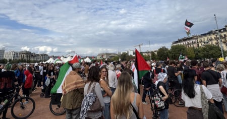 In piazza per la Palestina: proteste, tensioni e atti vandalici
