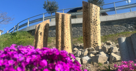 Castel San Pietro e Coldrerio conquistano il marchio «Città dell'energia Gold»