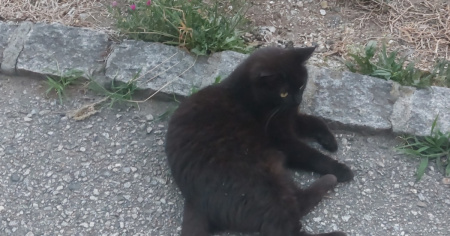Potrebbe essere bloccata in casa vostra senza che voi lo sappiate