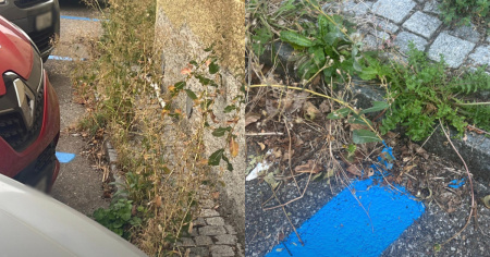 Ma un operaio comunale esiste ancora nel Quartiere di Gorduno?