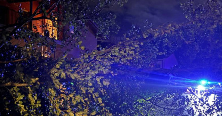 Un albero cade sulla strada tra Origlio e Ponte Capriasca