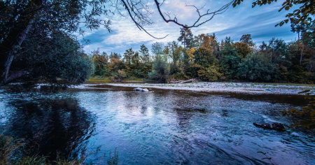 Altro che paradiso naturale: una specie su tre in Svizzera è minacciata