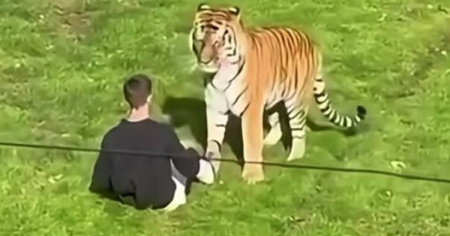 Cercare la morte allo zoo