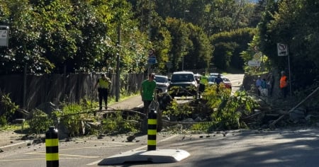 Frana sulla cantonale a Sementina, il traffico è bloccato