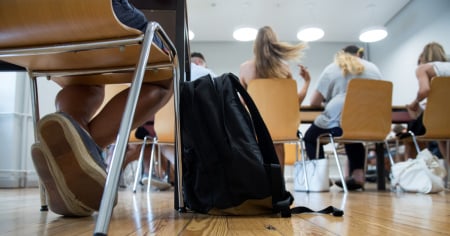 Un valido alleato che può anche tradire