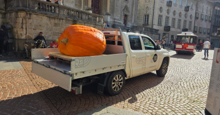 Zucca da 460 chili a Bellinzona, poi in tour per il Ticino