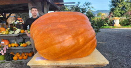 Torna la Sagra della zucca