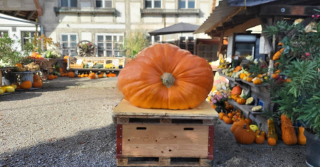 Torna la Sagra della zucca