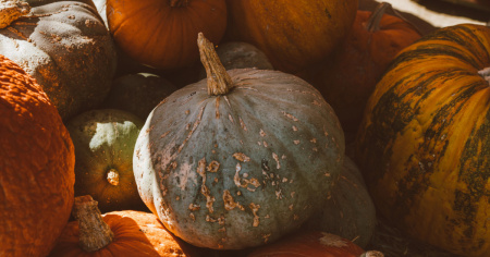 Il Regno delle Zucche: un angolo d’autunno nel cuore di Serfontana